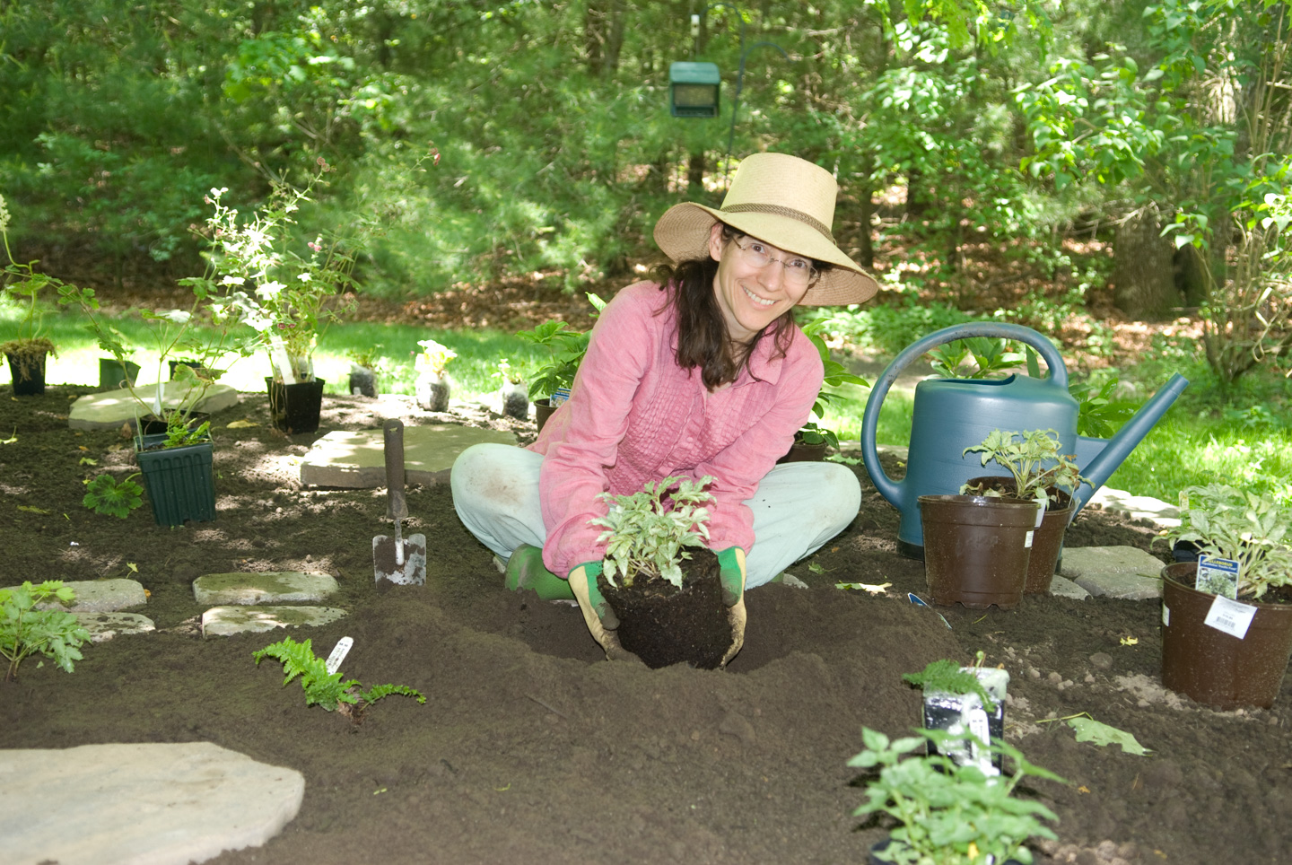 Anne planting Hellebore