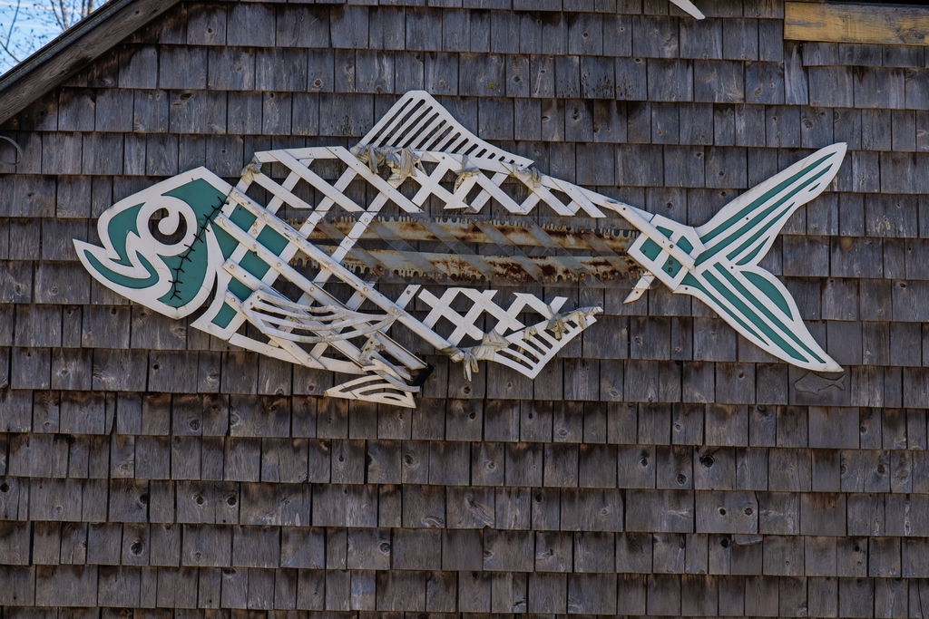 Wooden Alewife fish against a wall