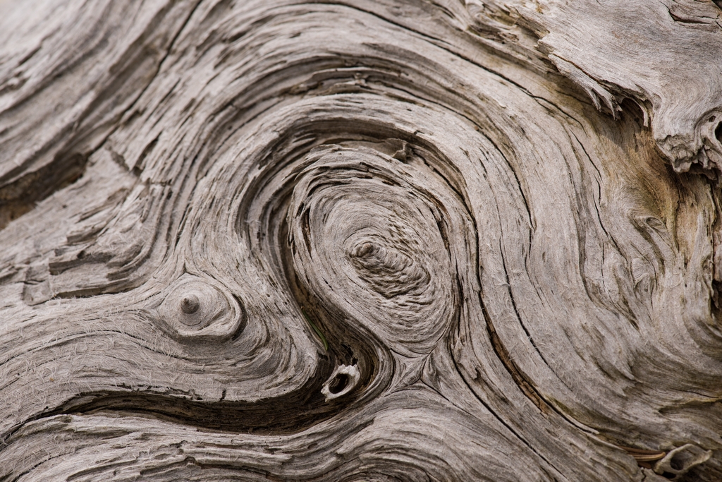 Wood Fingerprint