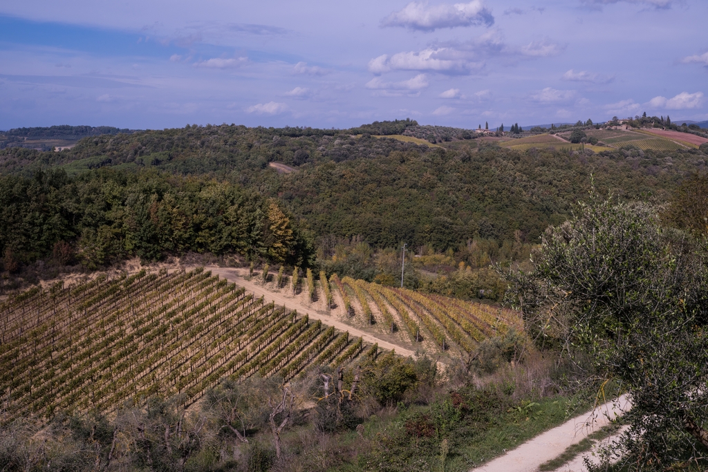 Tuscan countryside near Monteriggioni