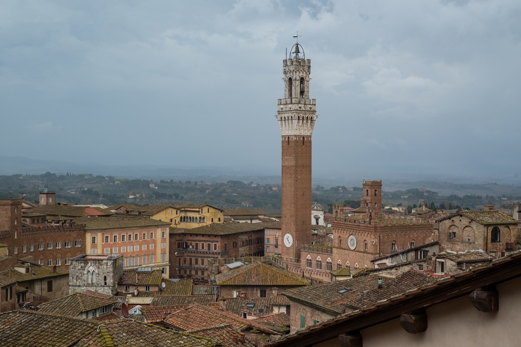Mangia Tower and Piazza del Campo
