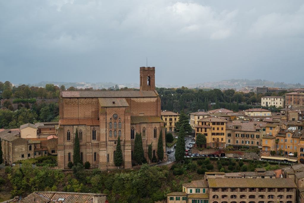 View from the Duomo di Siena dome