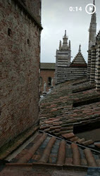 link to video with Siena Cathedral shingles