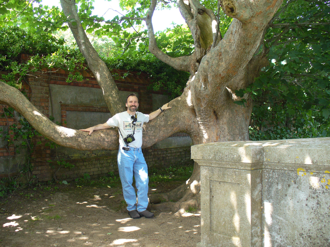 Paul and tree behind Vineyard Mansion