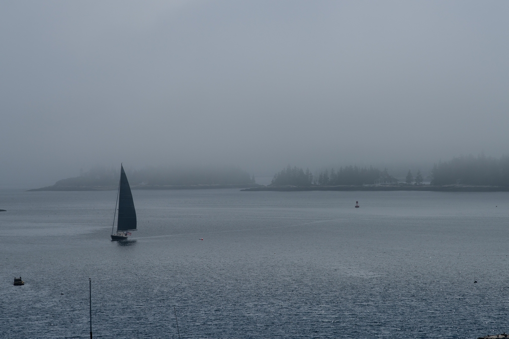 Boothbay Harbor with sailboat & fog