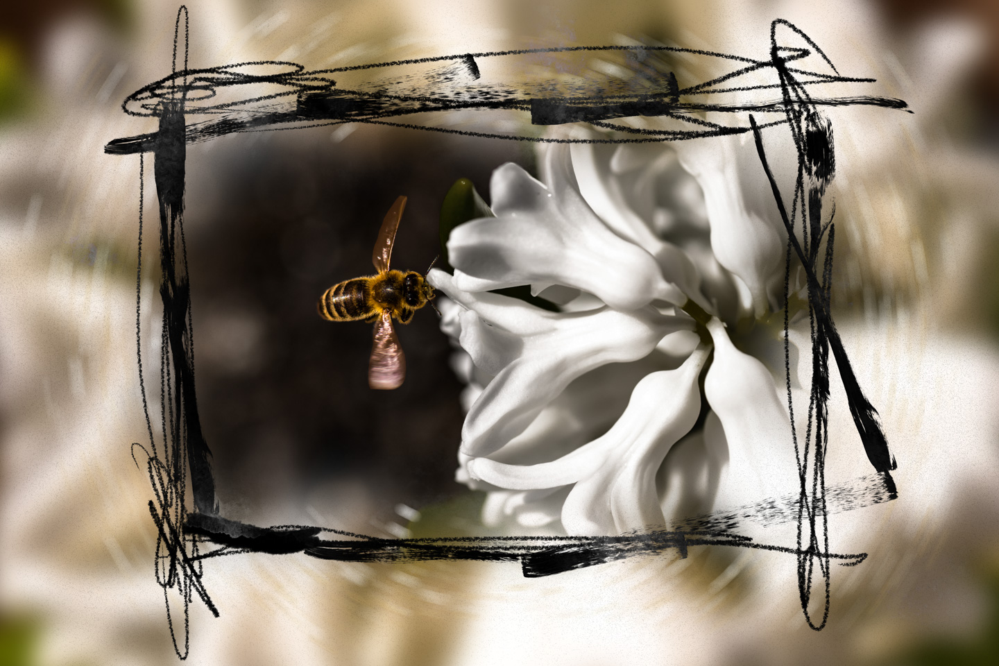 Bee and flower