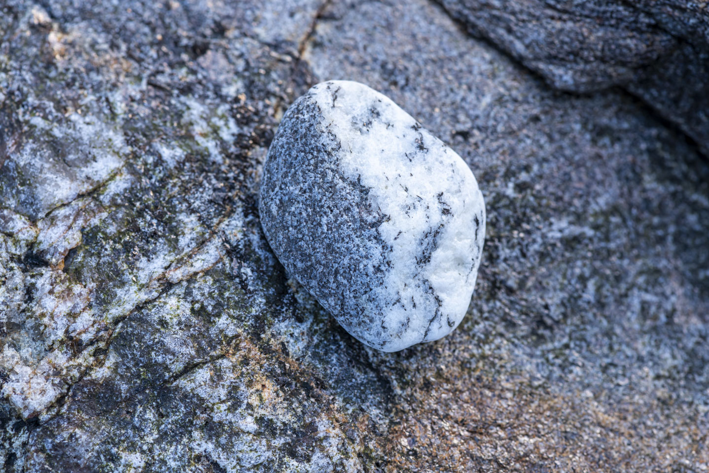 half black half white stone