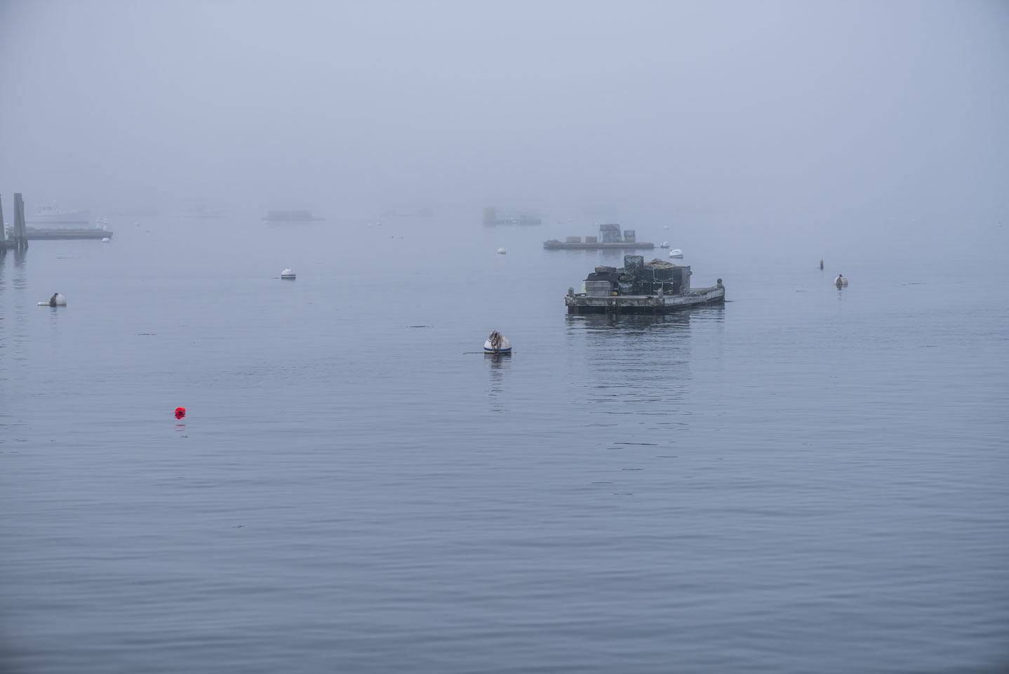Rafts with lobster traps on the water in the fog