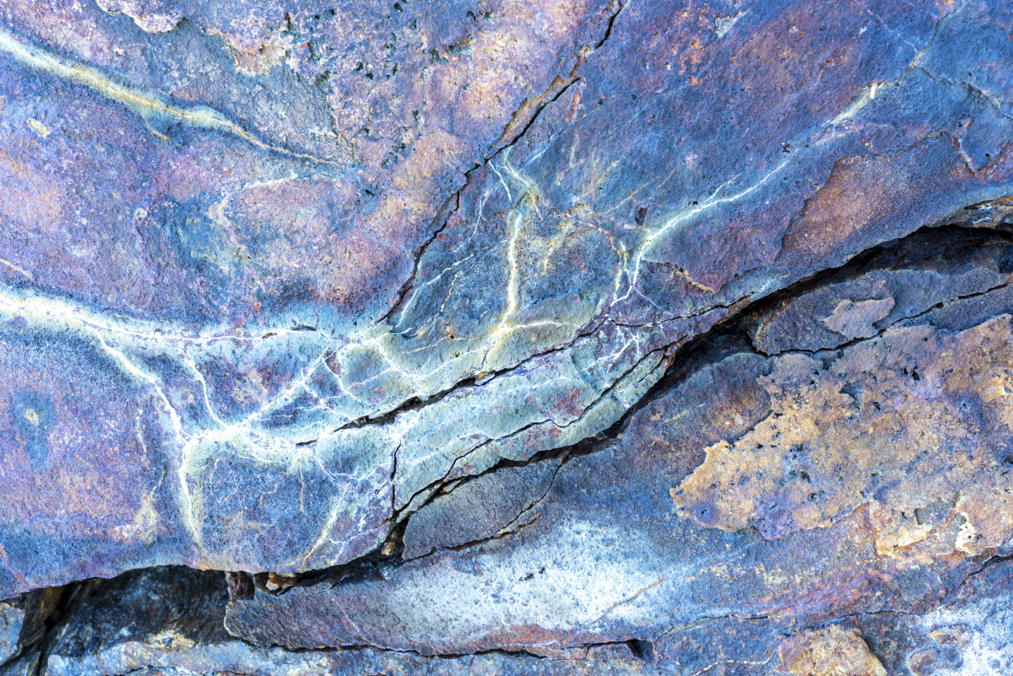 rock with purple, white, yellow, blue