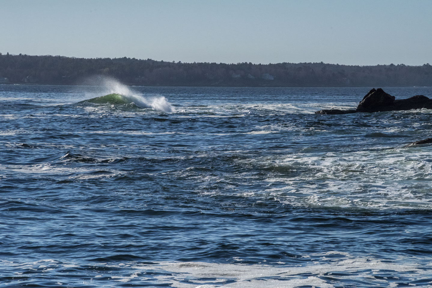 a curling wave near Pemaquid 