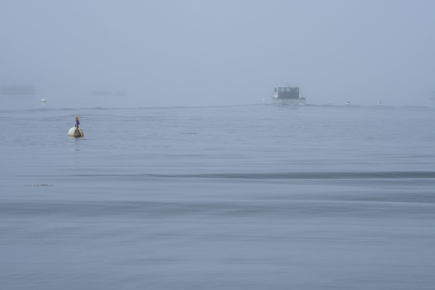 The boat Mackenzie Lee II, Squirrel Island, heading out in the fog