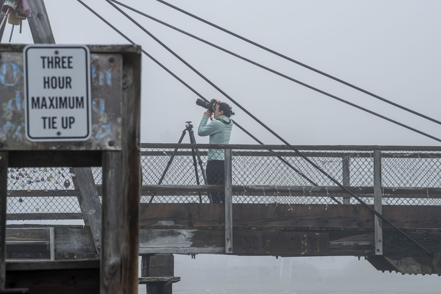Anne with her camera on the Boothbay Harbor footbridge