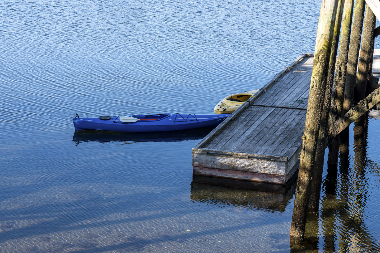 A blue and yellow kayak tied up at a dock