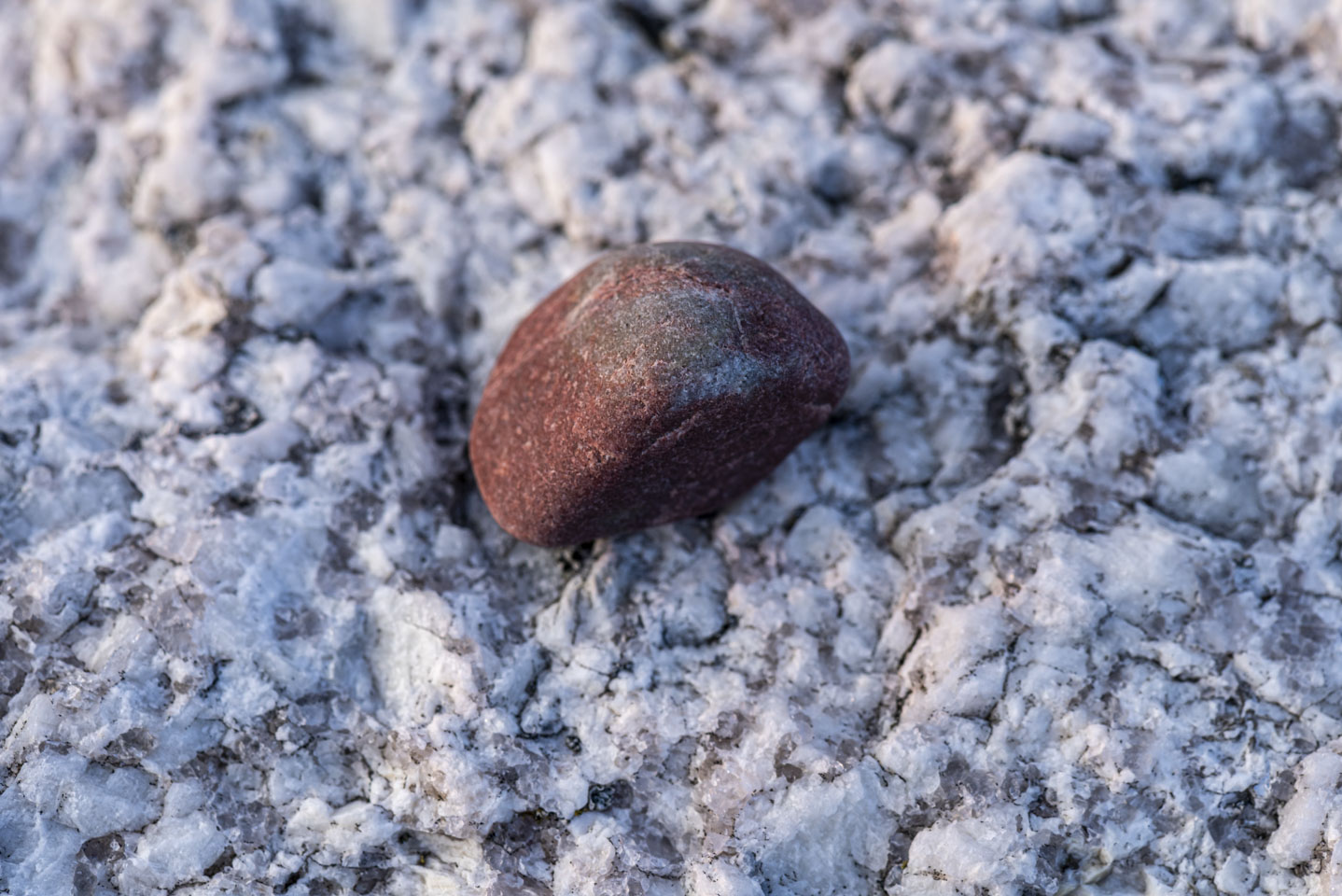 small red rock on paler stone