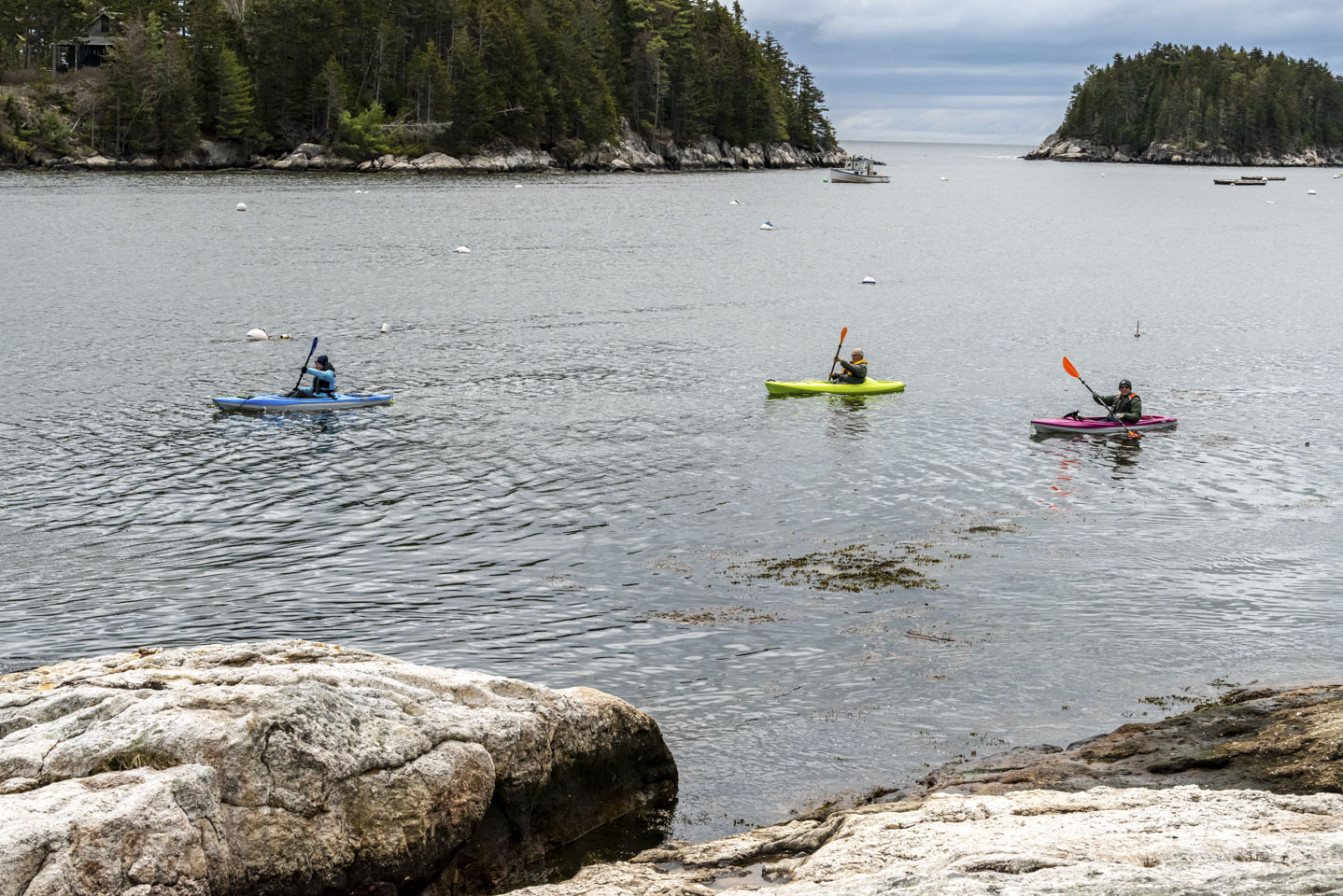 3 kayakers in a bay with islands in the distance