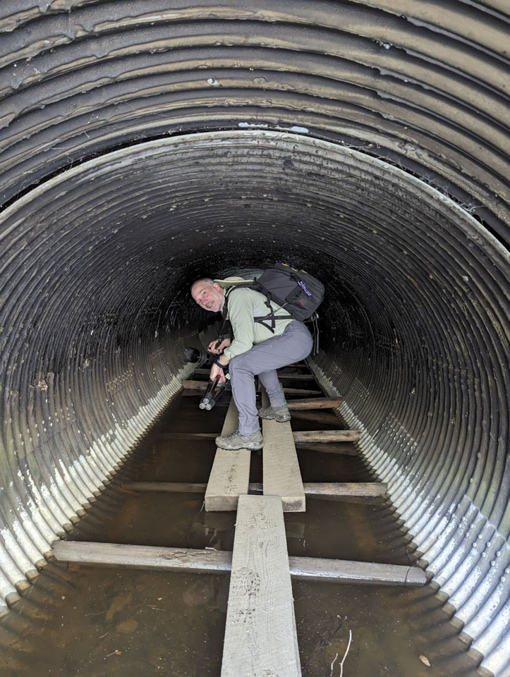 Paul inside the sheep tunnel culvert, walking crouched over.
