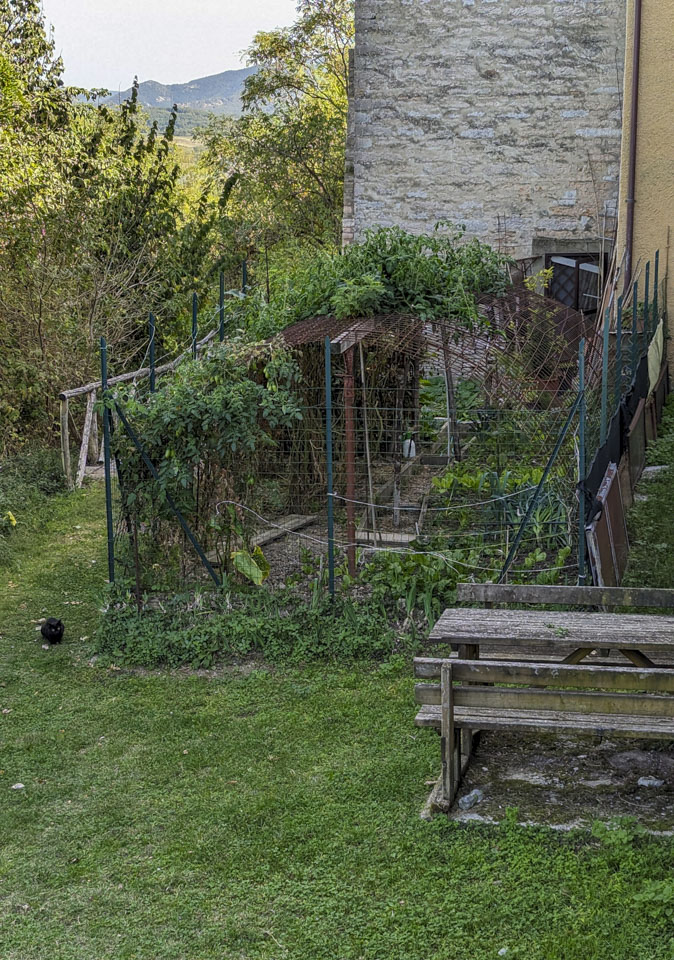 Garden outside of the Castello city wall, with a black cat on the grass next to it.
