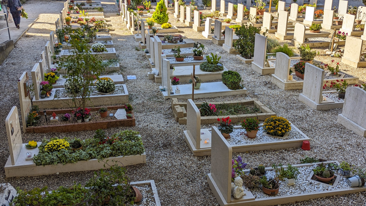 A gravel area with rows of graves, most of which have live plants and flowers. 