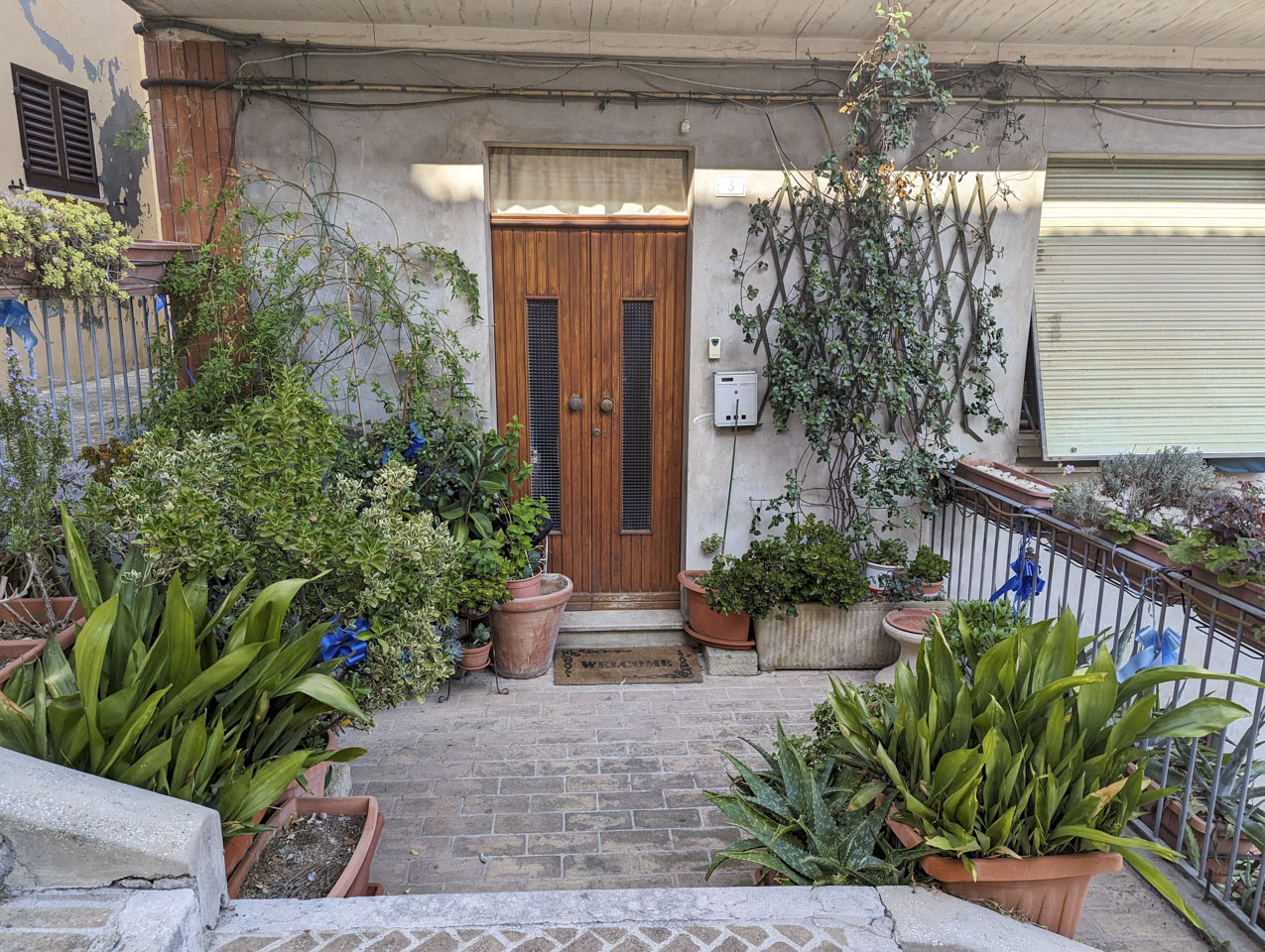 Entrance to a house with many plants