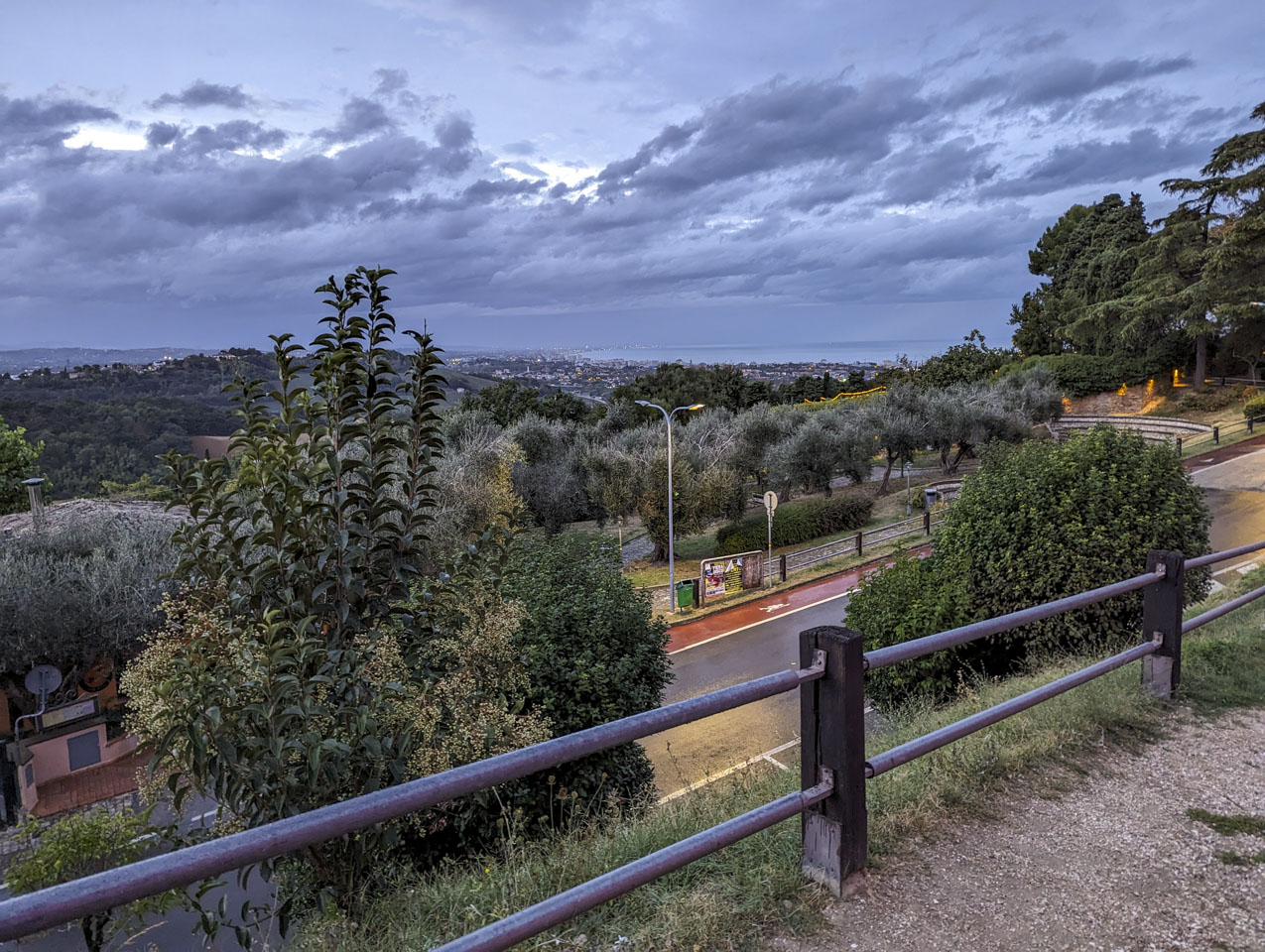 A view across a descending road and small olive trees to an urban area near the Adriatic Sea.