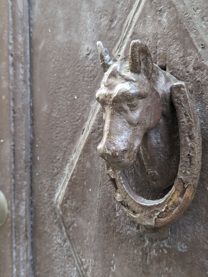 Horse head shaped door knocker