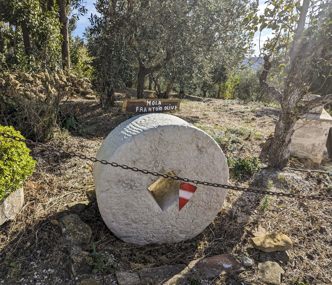 A large white circular stone with a square slot in the middle sits among some olive trees.