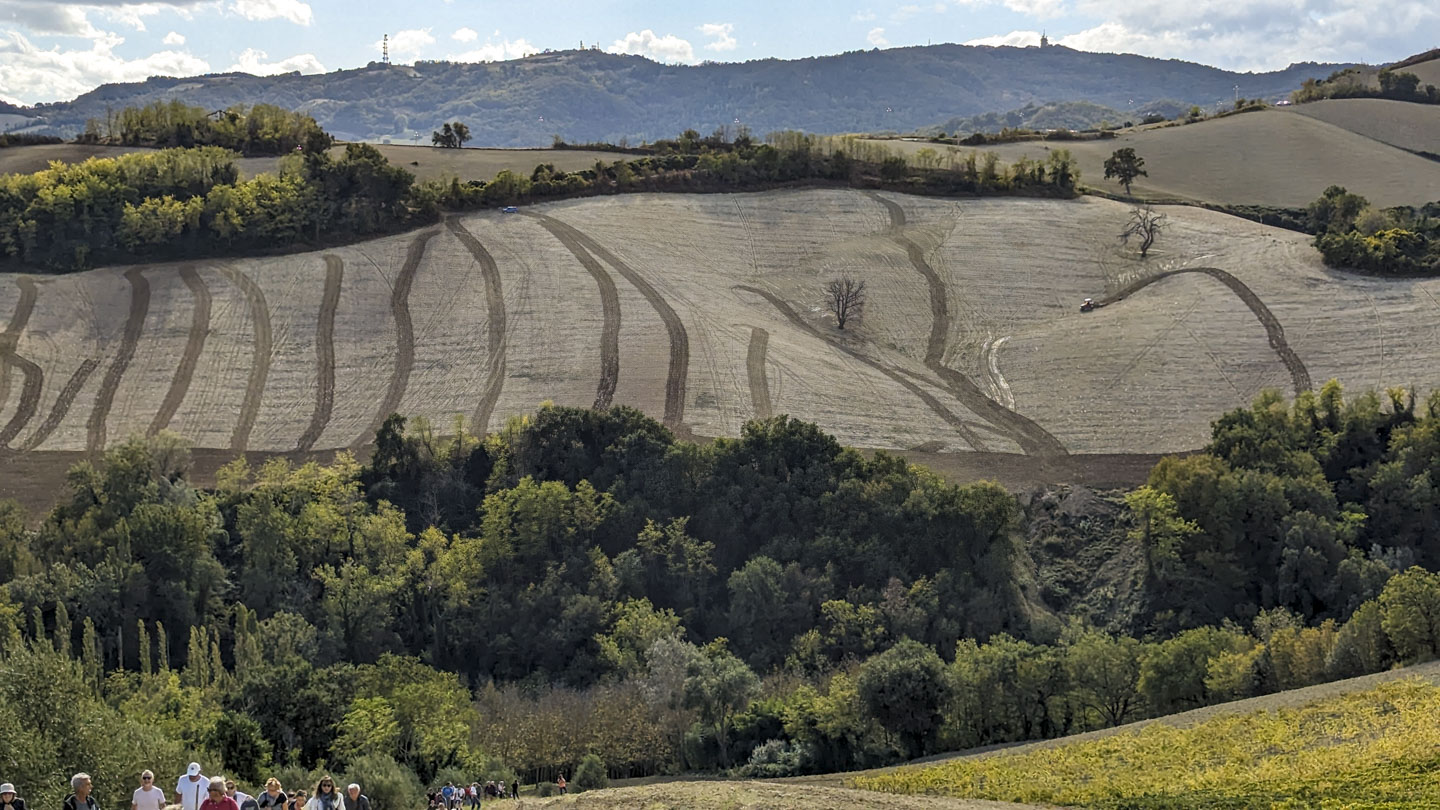 A large field is in the middle of the picture that has a noticeable slant to it, and there are tractor trails along it and a tractor can be seen driving in the field.