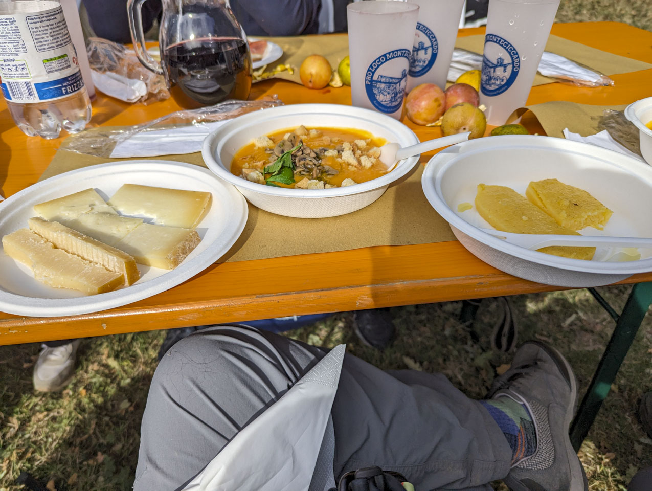 Plates of cheese, soup, and polenta in front of a small pitcher of wine and some plastic cups.