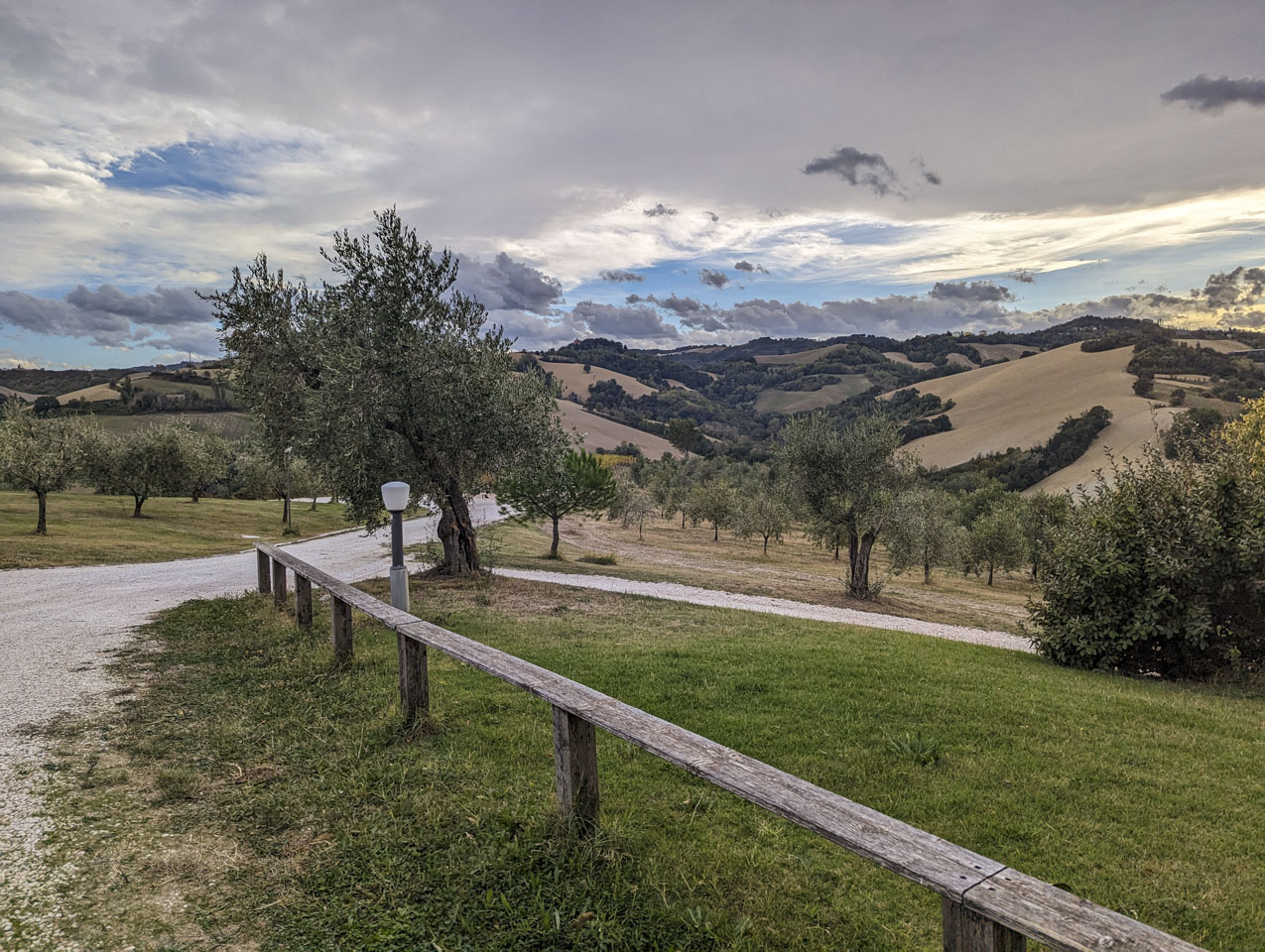 A gravel road with a simple wood fence and many olive trees. In the distance are rolling hills with agricultural fields.