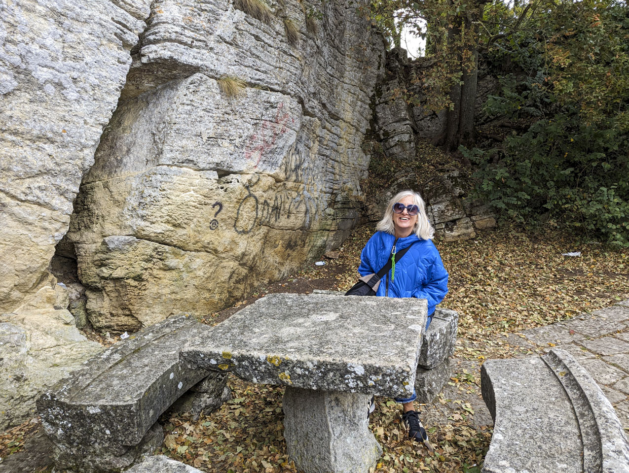 Alizia sits on a stone bench at a stone table. There are many leaves on the ground, and a tall stone cliff face on the left. Alizia is wearing a warm blue coat.