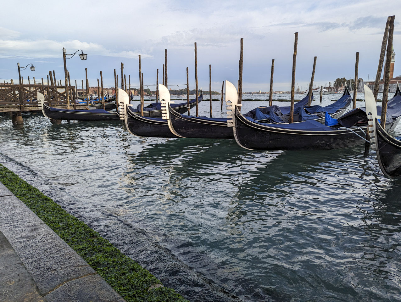 A row of blue gondolas lined up between pilings