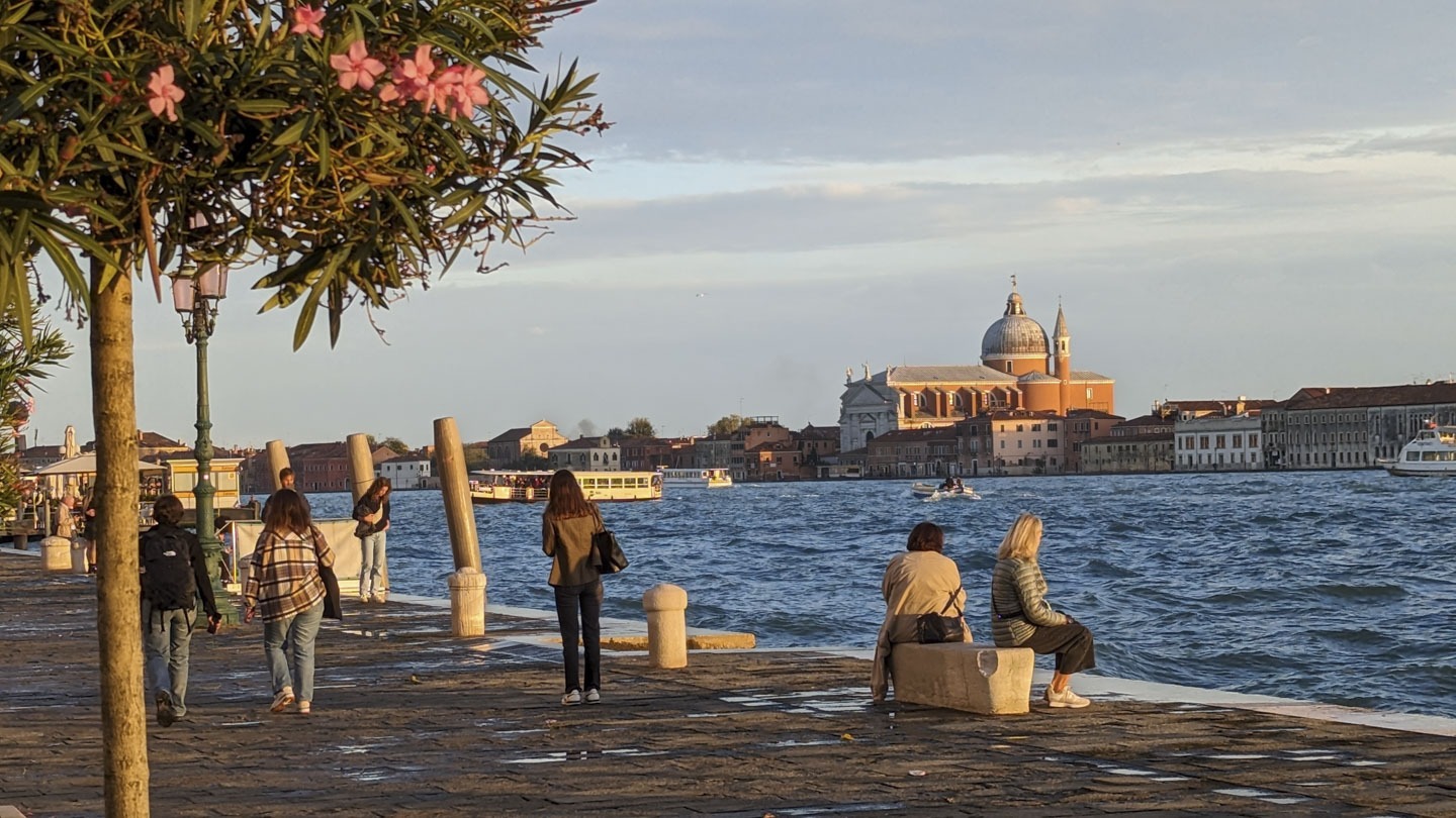 The late day sun shining on Venice. There is a tree with pink flowers.