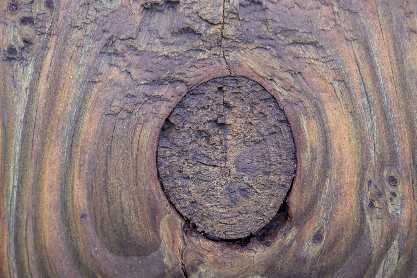 A wood knot sits in the middle of colorful wood.