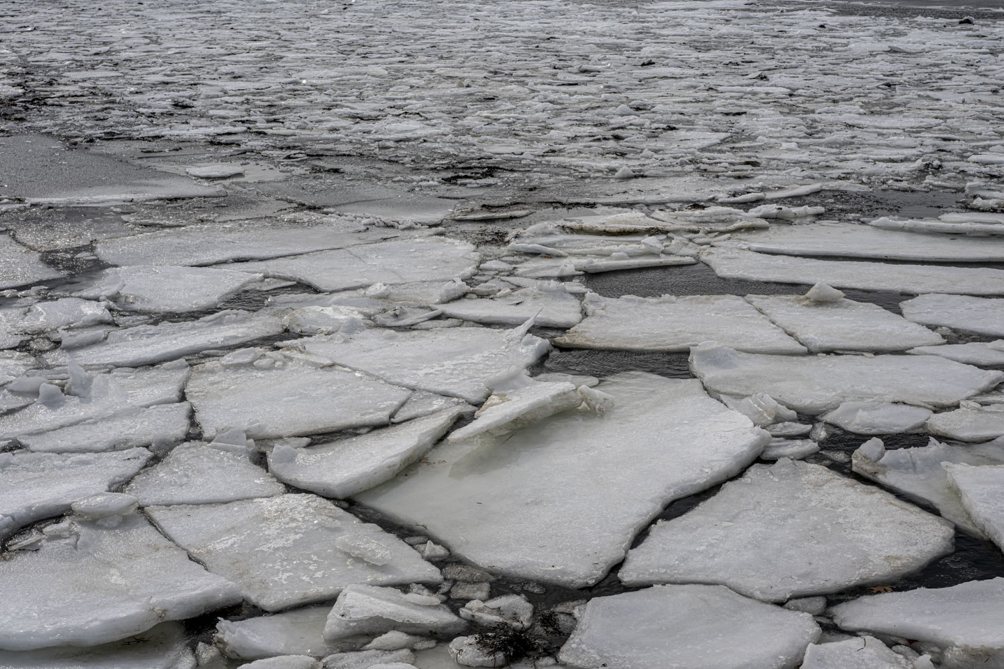 A close-up view of some of the slabs of ice, which have liquid water between them. Large slabs are close and smaller ones are further away.