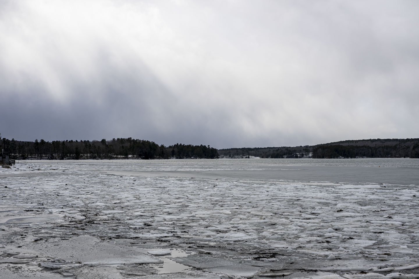 The Damariscotta River has many slabs of ice on it. The sky is overcast.
