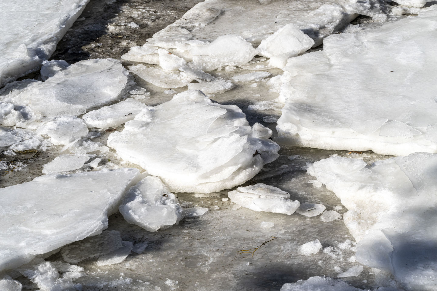 Moderately thick ice had layers visible.