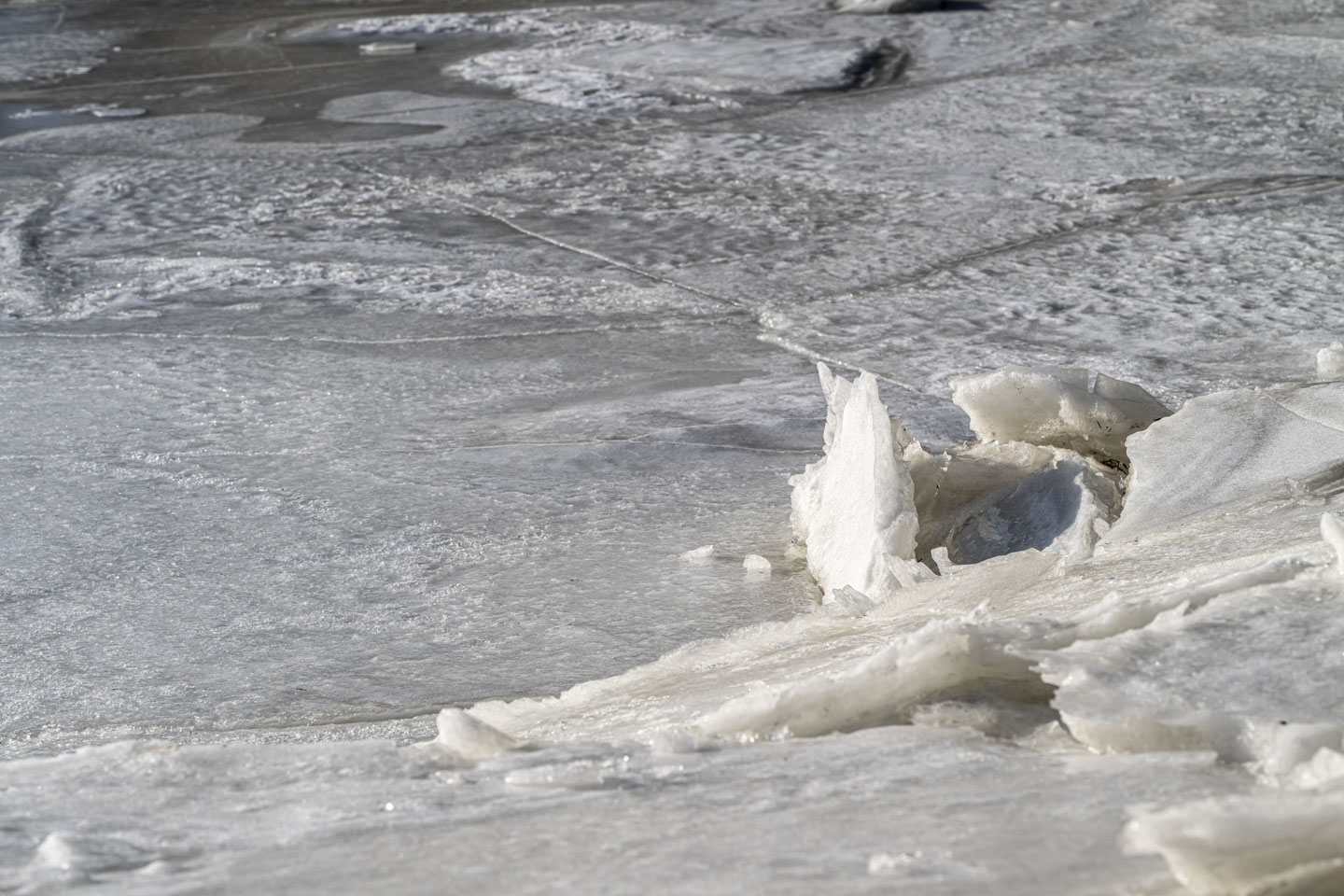 Relatively smooth ice has some cracked ice in front of it.