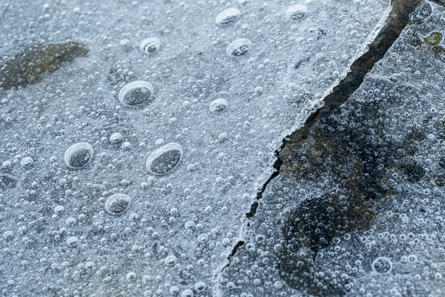 A close look at the ice reveals many small air bubbles,