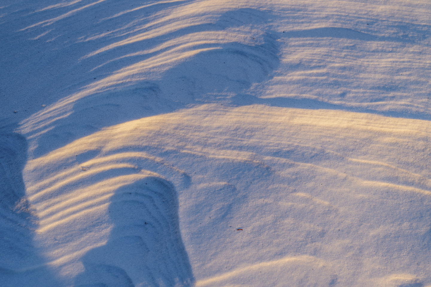 Snow has drifted and the late day sun highlights the little ridges.