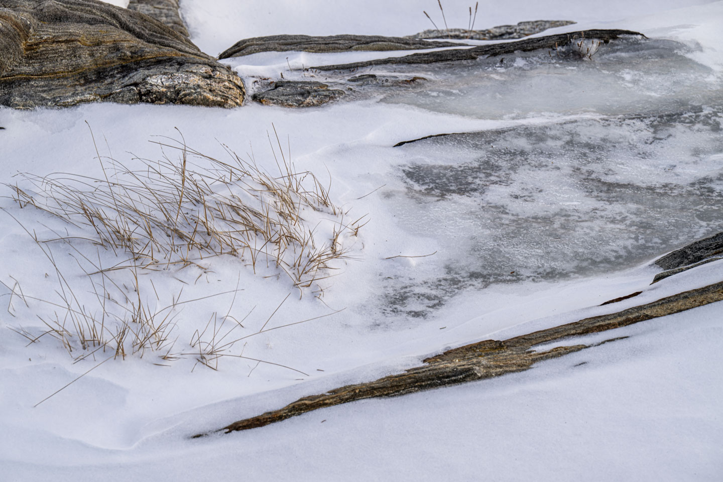 Grass is protruding from snow and ice that are between long horizontal rocks.