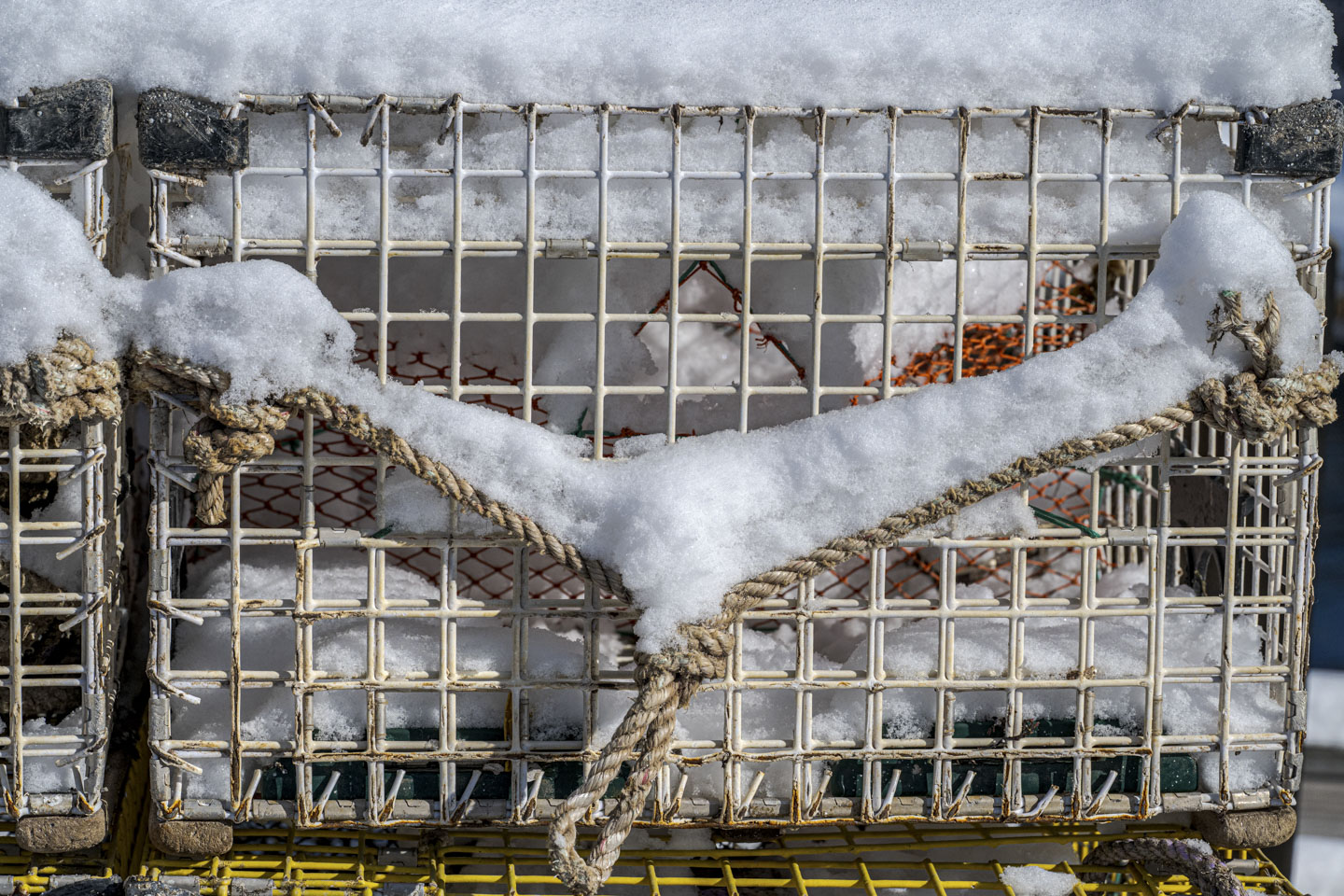 A close-up picture of a lobster trap that has snow inside it, on it, and on rope.