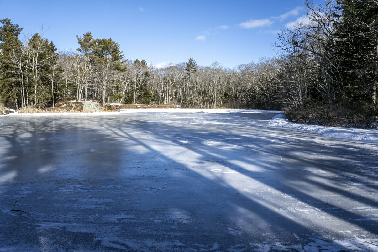 A small frozen pond comes up to the bottom of the picture. Shadows are cast on the pond.