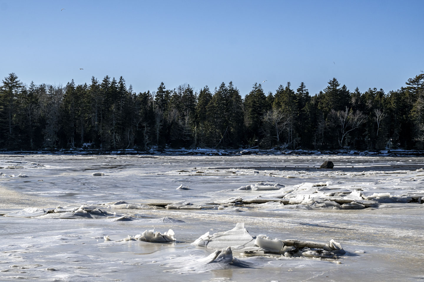 On a sunny day, the mostly frozen surface of a wide river had a lot of cracked ice on it.