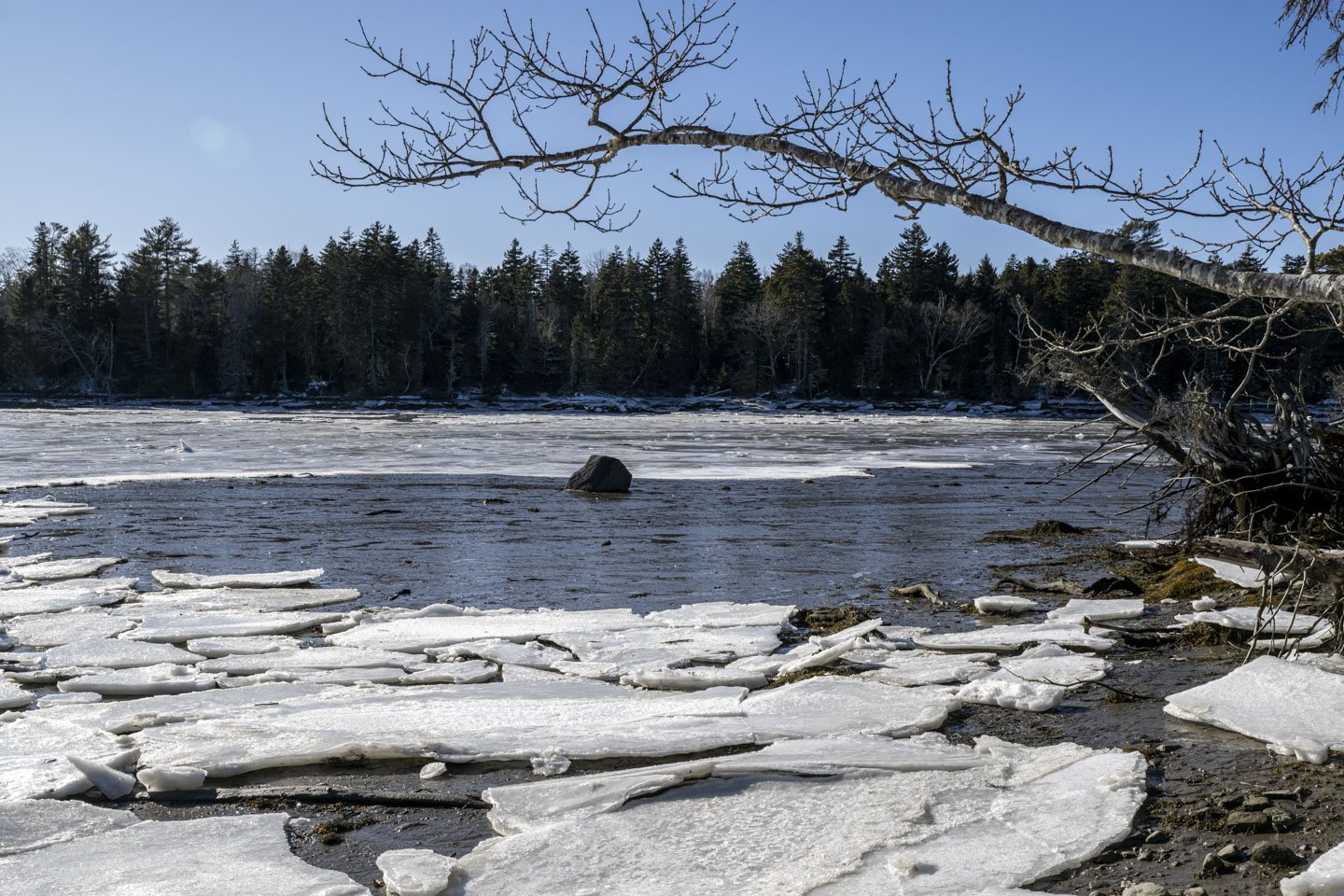 Broken plates of ice are on the muddy river bottom at low tide.