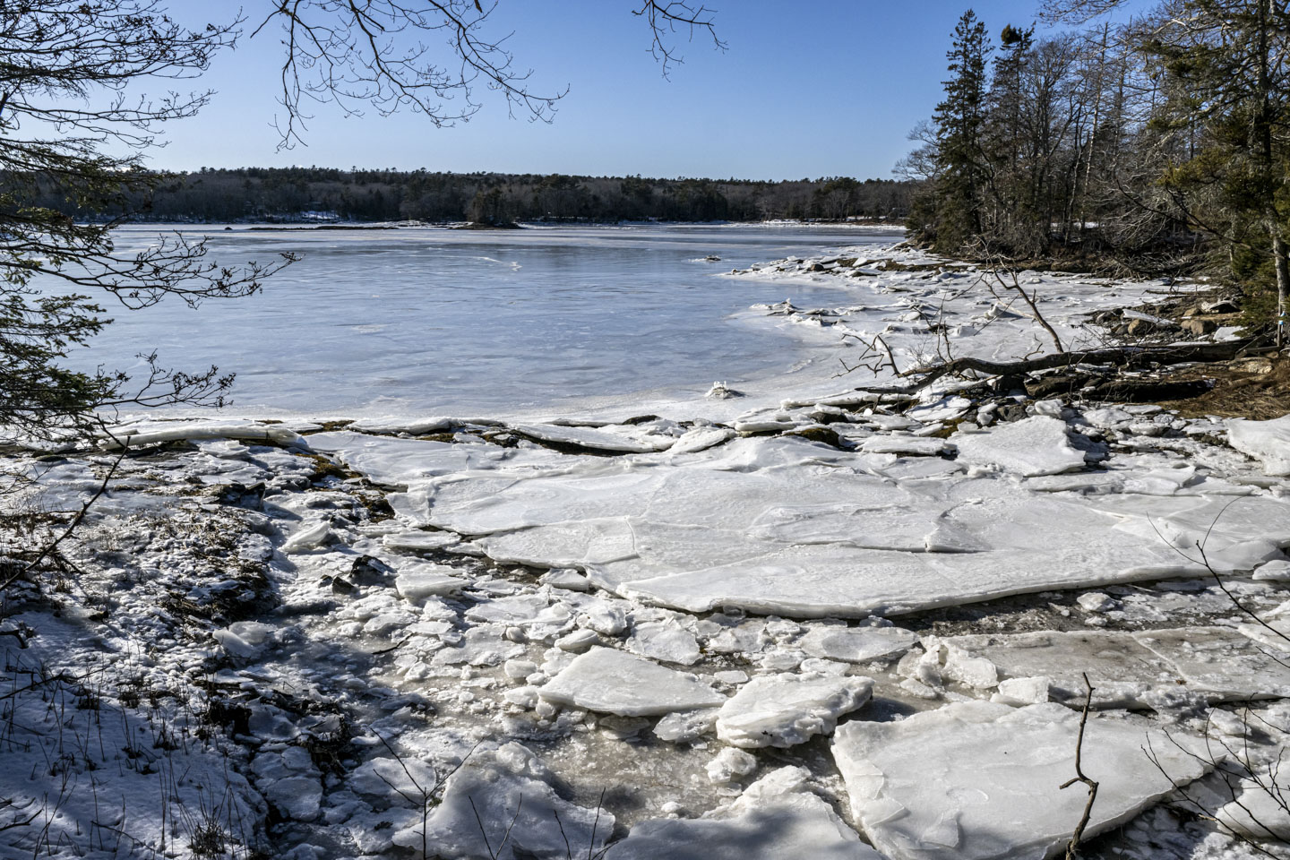 The Pemaquid River is wide, with a small ice-covered inlet immediately in front of us.