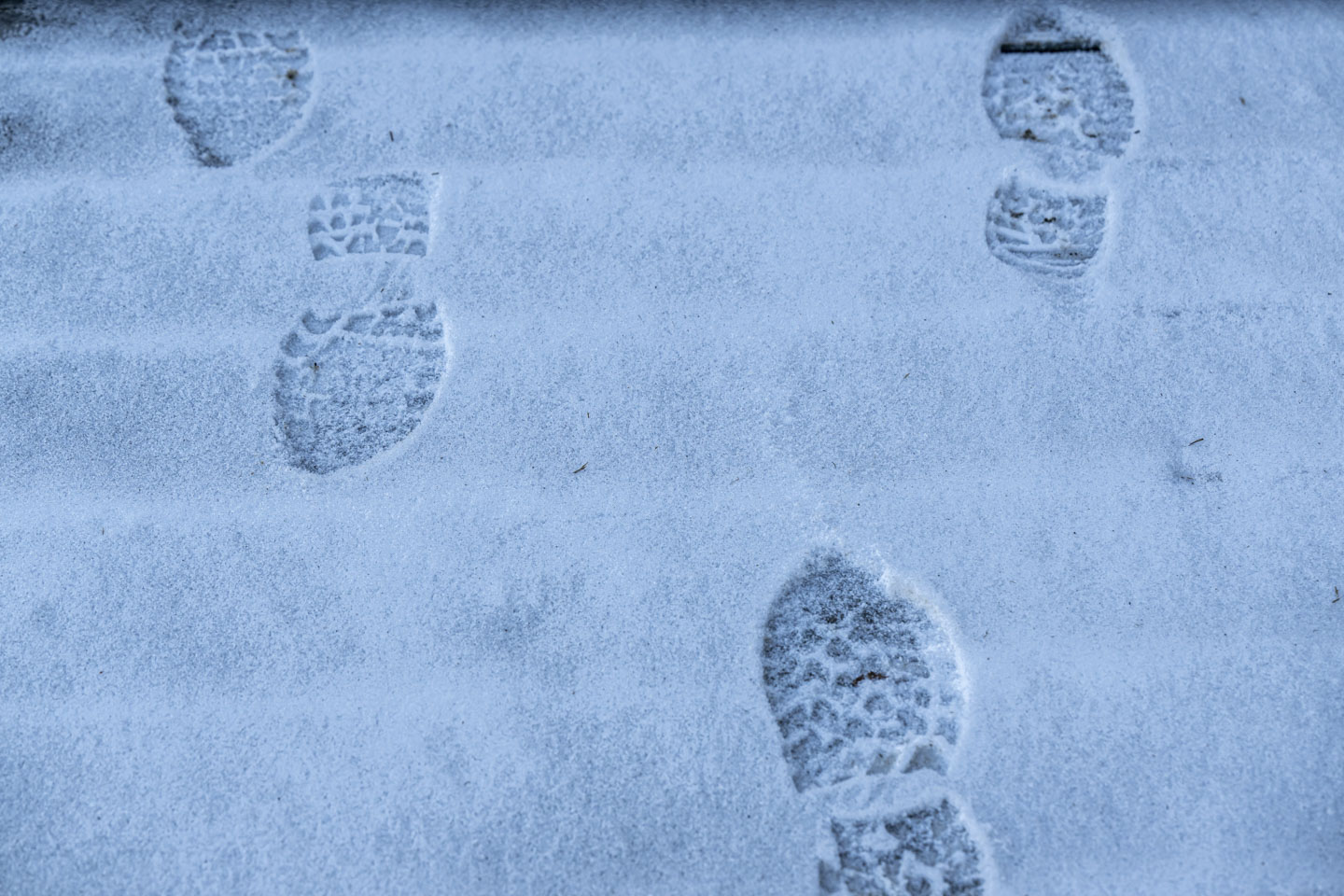 Two footprints go towards us, and two go away from us, in the snow.