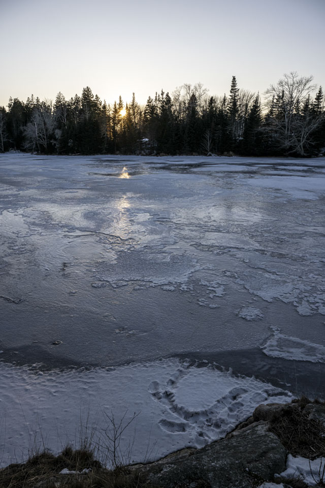 Frozen water leads to trees that have a setting sun shining through them.