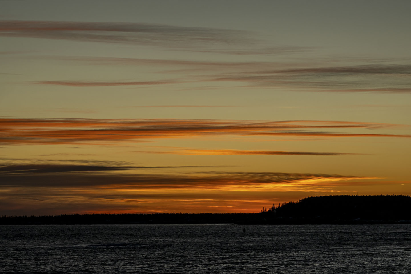 A brilliant sky is above trees and water.
