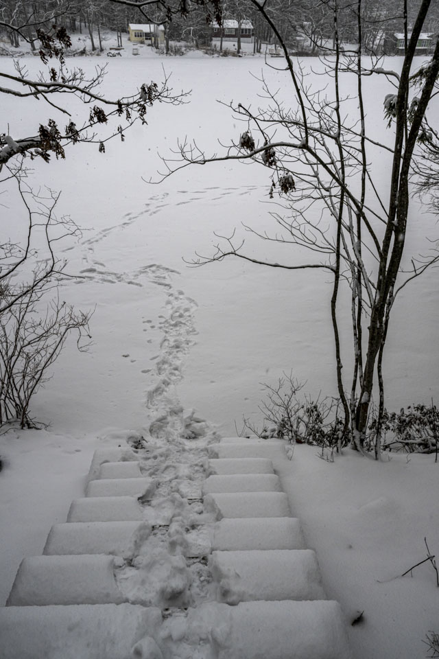 Footsteps lead down snow covered steps and on to a snow-covered frozen lake.