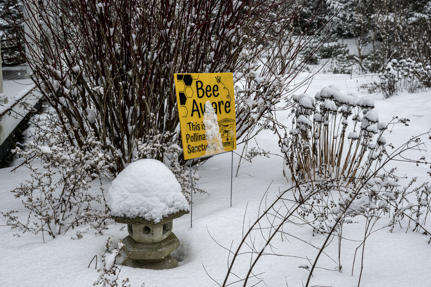 A Bee Aware sign is in front of a bush.